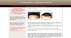 Desktop Screenshot of lundstrom-int.com